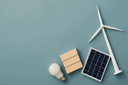 Previous Article Image