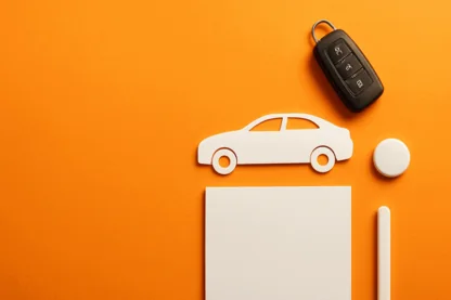 Previous Article Image