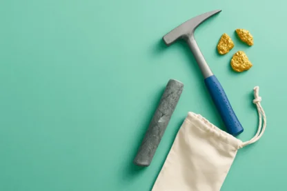 Previous Article Image