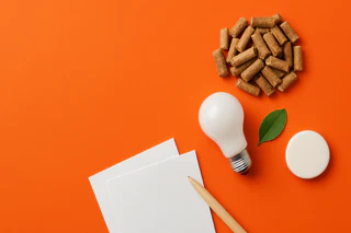 Foresta Advances NZ’s Coal Transition with Genesis Term Sheet for Wood Pellets