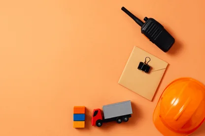 Previous Article Image