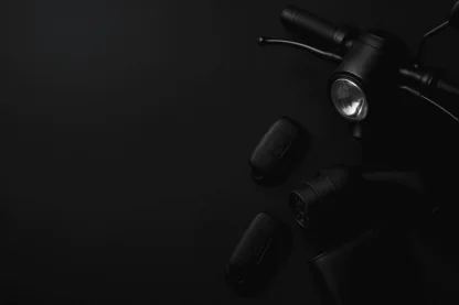 Previous Article Image