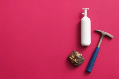 Previous Article Image