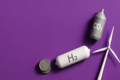 Previous Article Image