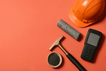 Previous Article Image