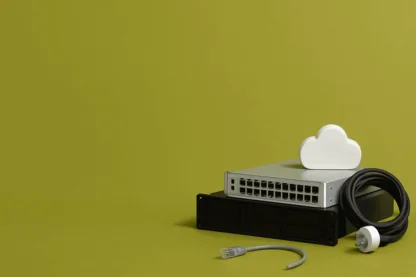 Previous Article Image