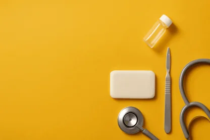 Previous Article Image