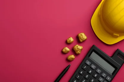 Previous Article Image