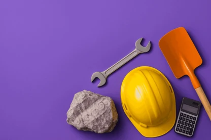 Previous Article Image