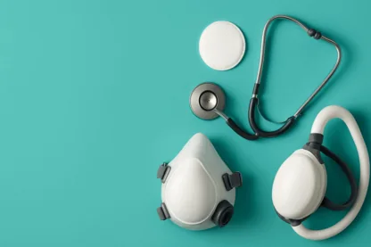 Previous Article Image