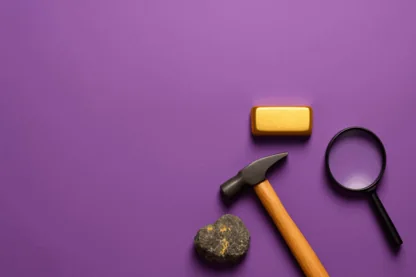 Previous Article Image