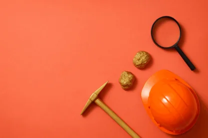 Previous Article Image