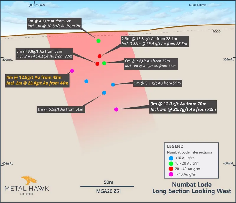 Long section looking west, showing Numbat drill intersections. Numbat shear zone intersection result labelled yellow