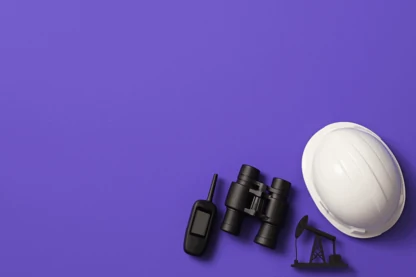 Previous Article Image