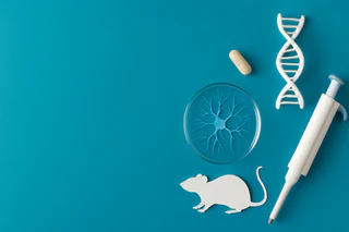PYC Therapeutics Advances PYC-002 for Phelan-McDermid Syndrome with Promising Pre-Clinical Data