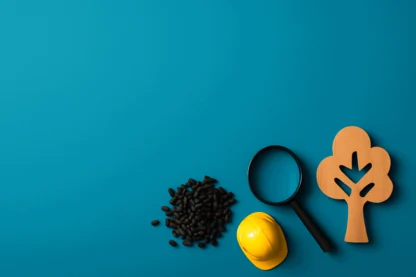 Previous Article Image