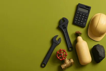 Previous Article Image