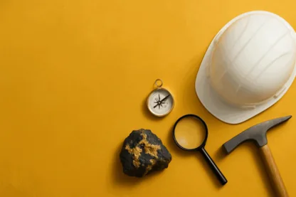 Previous Article Image