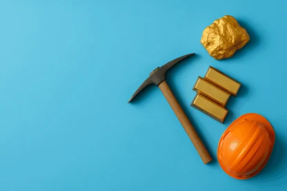 Previous Article Image