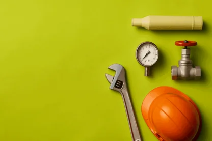 Previous Article Image