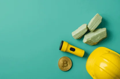 Previous Article Image