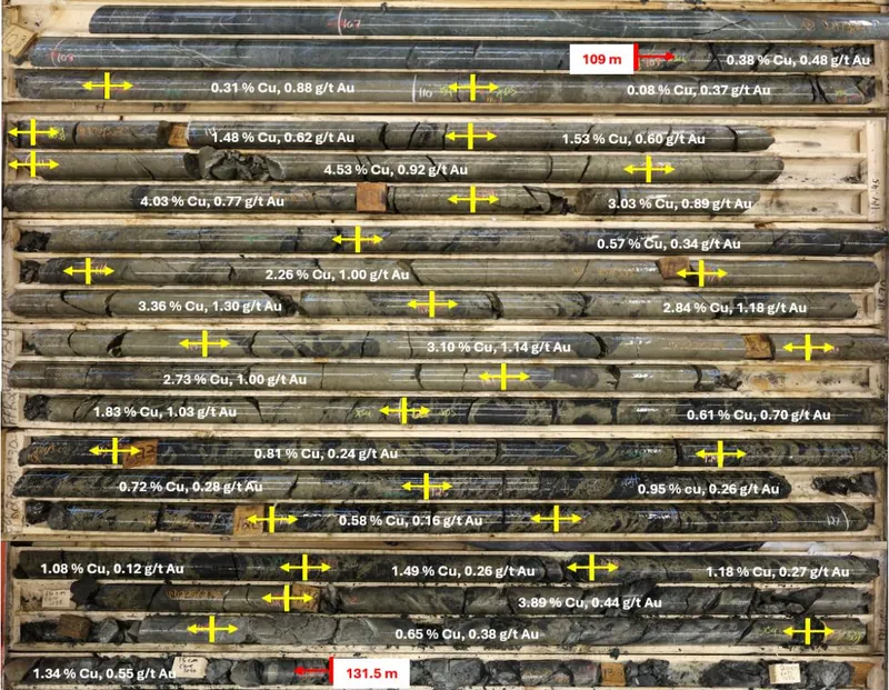 About the Mount Joy Drilling Results