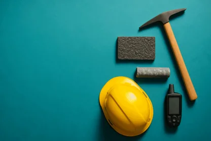 Previous Article Image