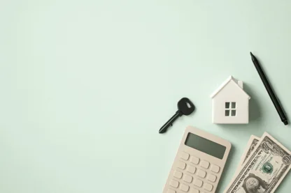 Previous Article Image