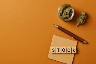 Cann Group Unveils $2.5M Share Purchase Plan with Attaching Options Amid Debt Restructure