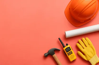 Previous Article Image