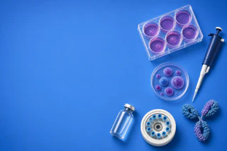 AdAlta Advances CAR-T Therapy with East-to-West Strategy and Australian Manufacturing Transfer