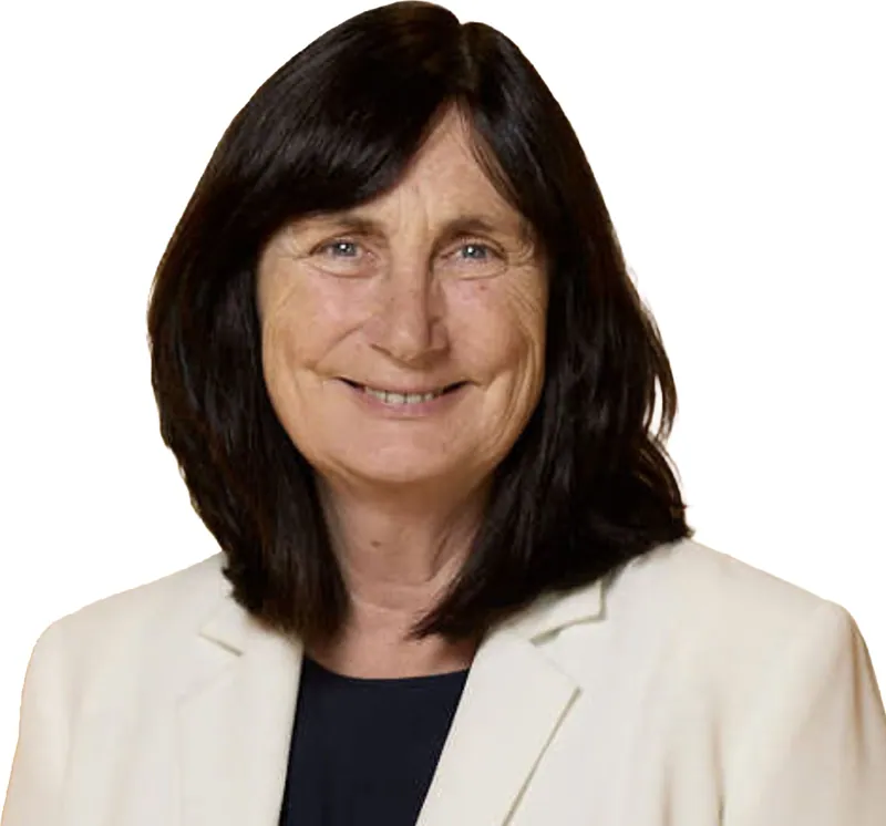 Item 2 - Election of Ms Anne Brennan as a
