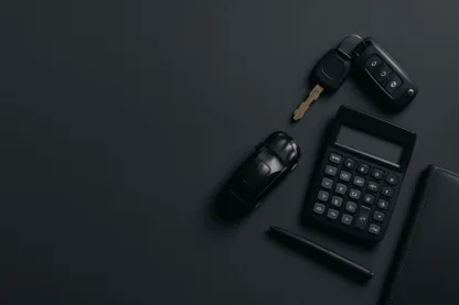 Previous Article Image