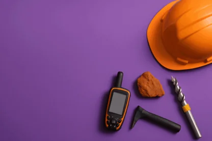 Previous Article Image