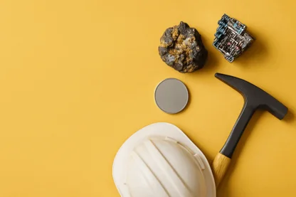 Previous Article Image