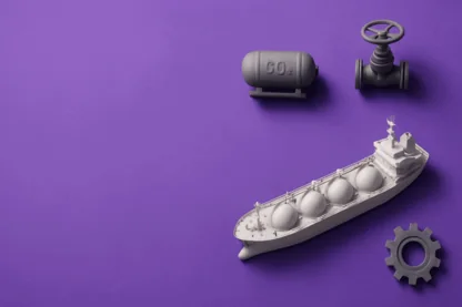 Previous Article Image