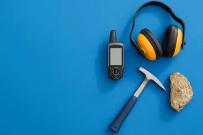 Previous Article Image