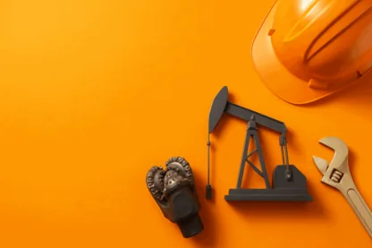 Previous Article Image