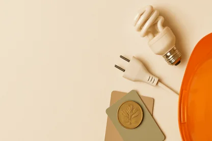 Previous Article Image