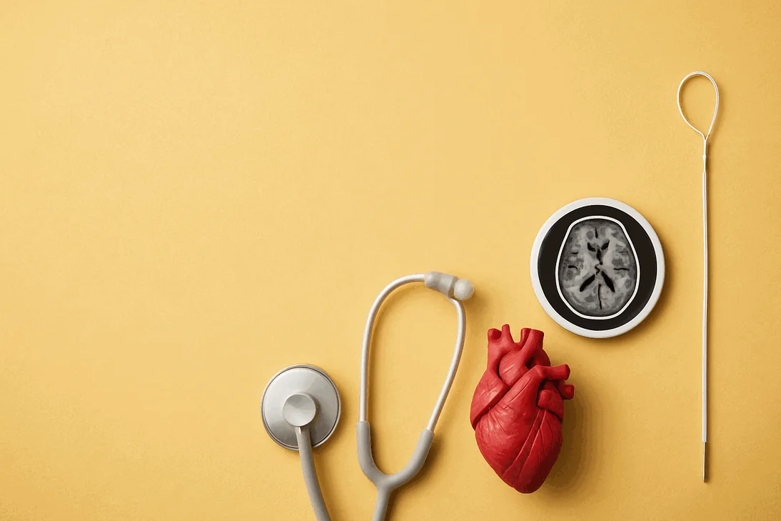 An image related to Imricor Medical Systems Inc