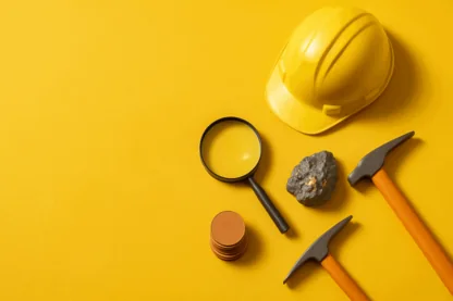 Previous Article Image