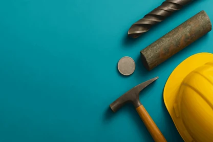 Previous Article Image