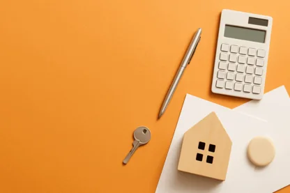 Previous Article Image