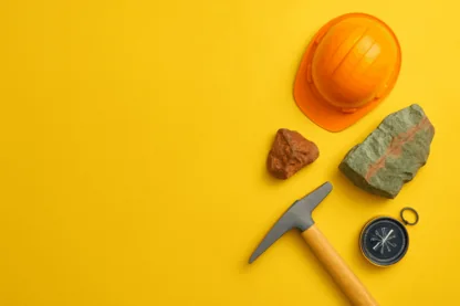 Previous Article Image