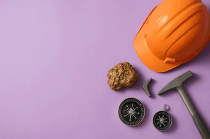 Previous Article Image