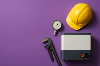 Previous Article Image