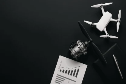 Previous Article Image