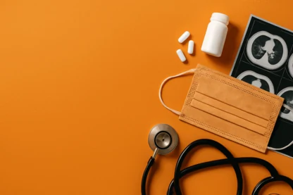 Previous Article Image