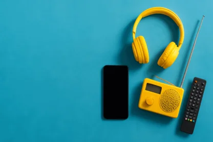 Previous Article Image