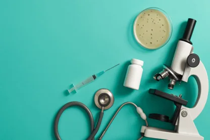 Previous Article Image